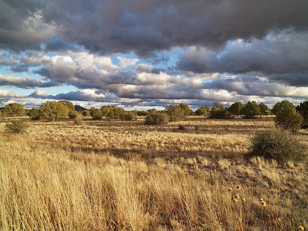 Soil and Fill Applications